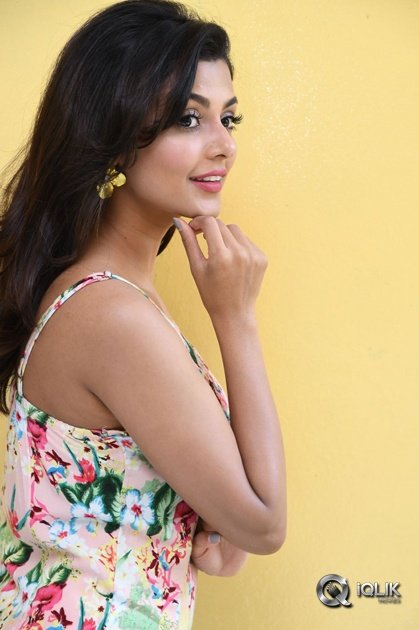 Anisha-Ambrose-At-Fashion-Designer-Movie-Success-Meet